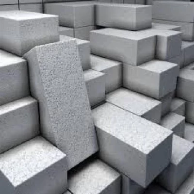 Fly ash Bricks